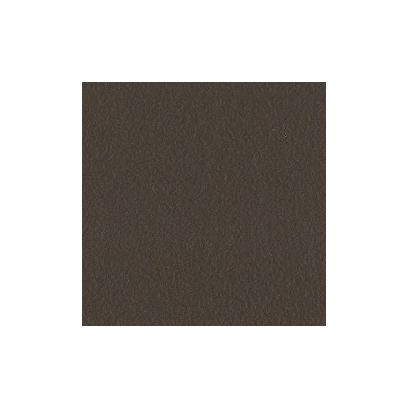 F4340-20129 Chocolat