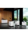 Bureau métallique 4 tiroirs (de chaque côté) avec moulures décoratives CLASSIC LINE TB 229-5