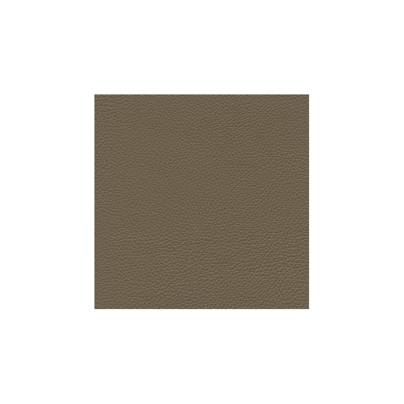 013 32 048 Terre