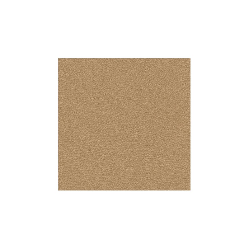 013 32 023 Dune