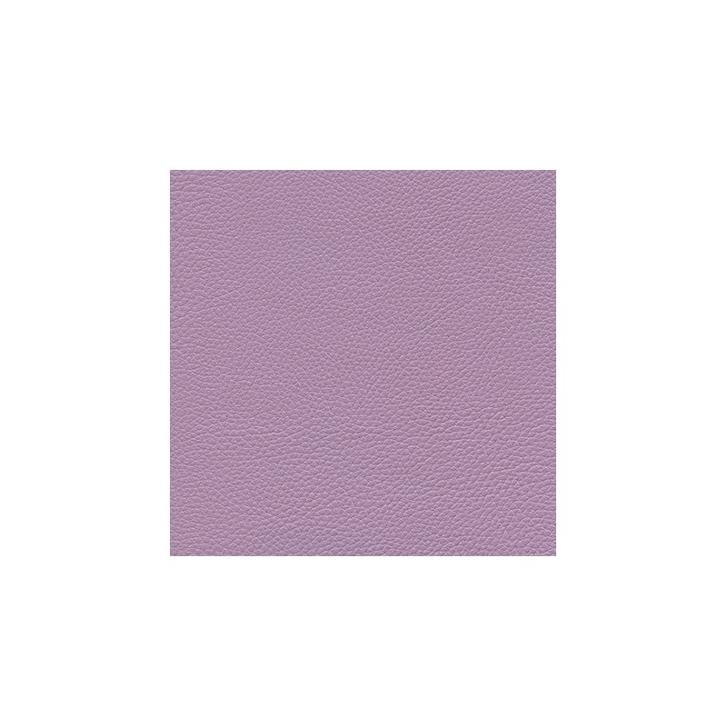 013 32 008 Lilas