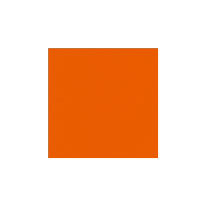 010 94 019 Orange