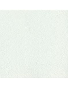 Cuir grain très fin de bureau FLORIDA sur mesure, vachette napa, avec dorure 2