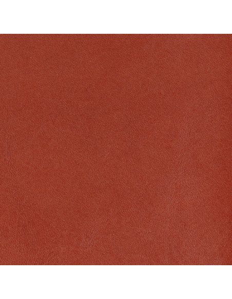 Paprika