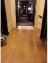 Parquet chêne massif français 1m² à coller PREMIER, largeur de lame 130 mm, épaisseur 15 mm, longueur de 0,30 à 1,30 m