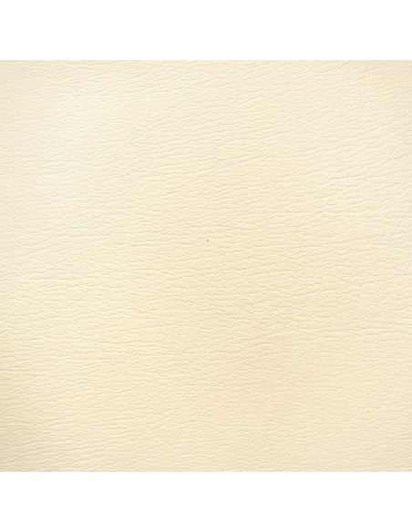 17110 White