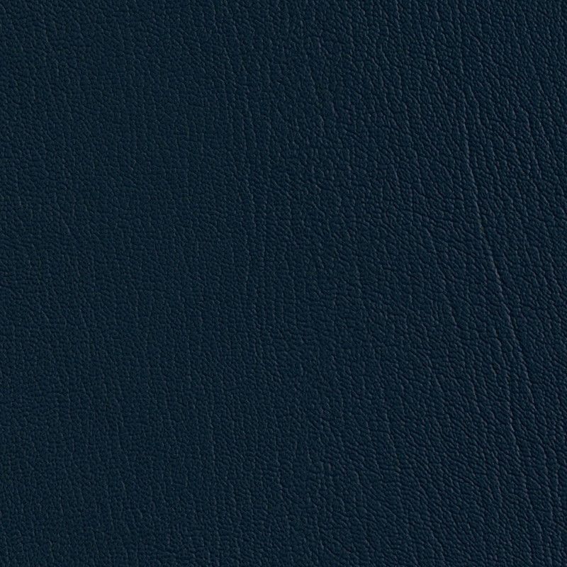 17306 Royal Blue