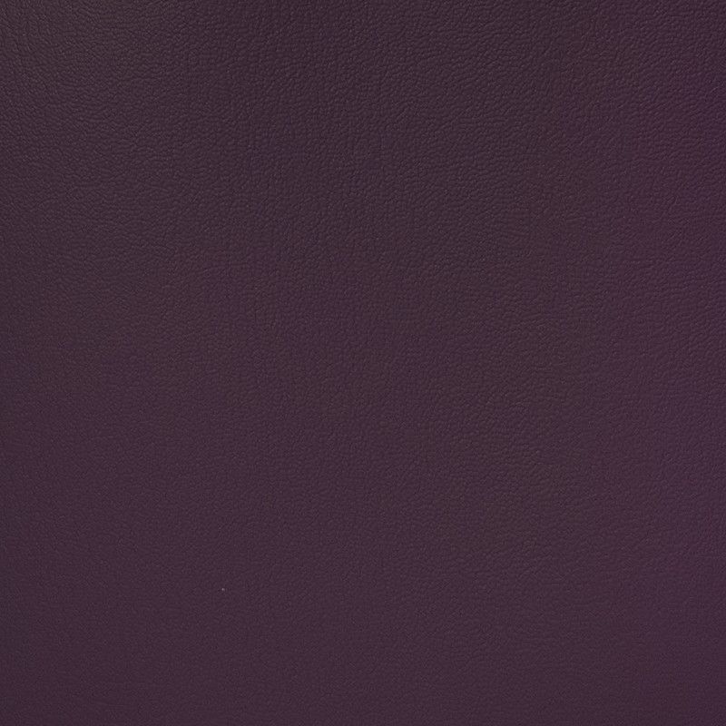 17510 Purple Iris