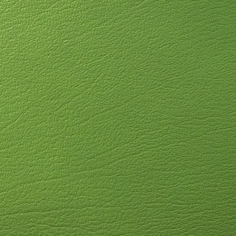 17600 Lime
