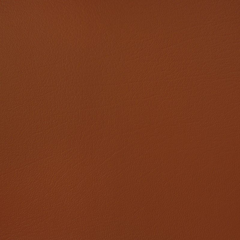 17905 Burnt Orange