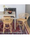 Fauteuil rotin de table GINGKO HORIZON