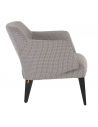 Fauteuil fixe LENA C0512