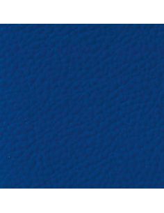 Indigo Blue