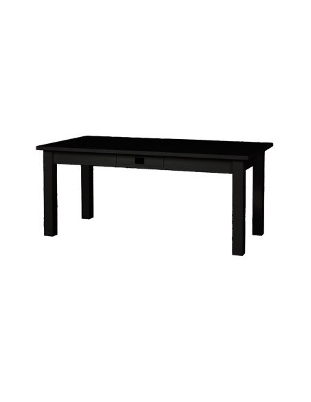 Table de repas 200x100 TOSCA