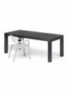 Table rectagulaire FEM en chêne teinté