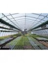 PVC souple 70/100 ARMÉ Non Feu M2 au mètre, largeur 250 cm, largeur du quadrillage 2,8 x 2,8 mm