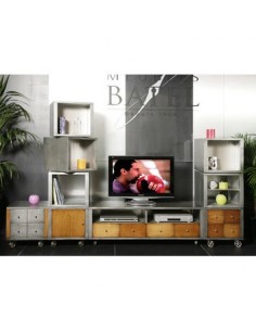 Composition meuble télé métal brossé et bois