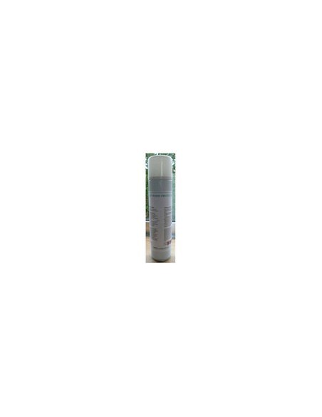 Spray imperméabilisant pour teck Easy Wood VER004