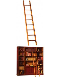 Échelle de bibliothèque 253