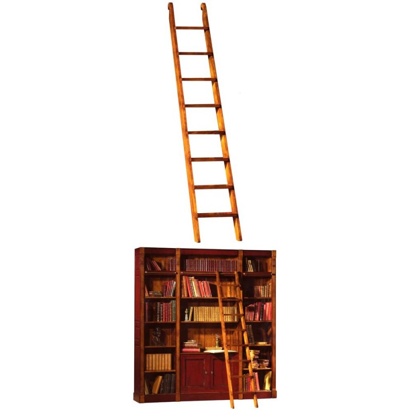 Échelle de bibliothèque 253