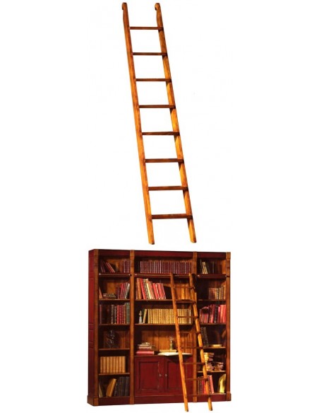 Échelle de bibliothèque 253