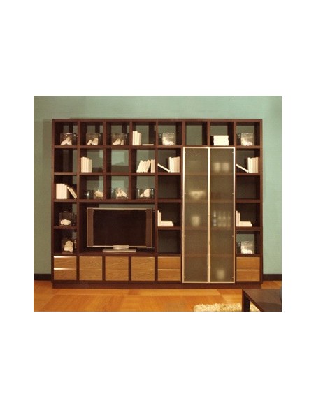 Bibliothèque, composition tv, Landscape