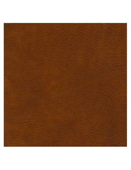 049 48 009 Cognac