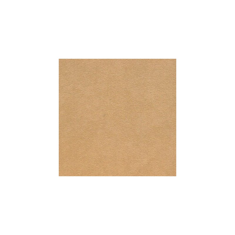 0258-07 Sahara 110