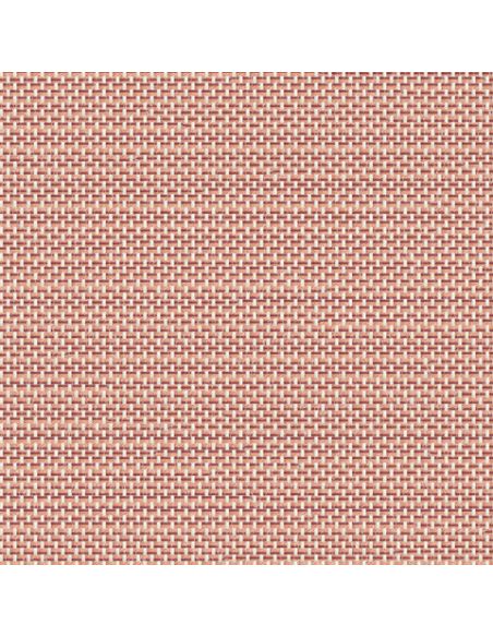 7710-51031 Ocre