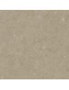 Quartz CORAL CLAY COLOUR, épaisseur 3.0 cm